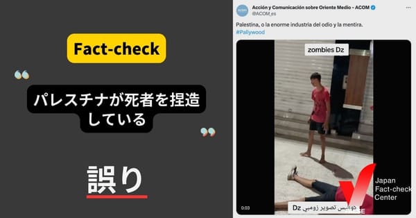 （動画）パレスチナが死者を捏造している？【ファクトチェック】